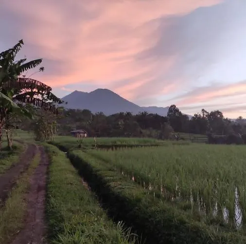Privatunterkunft Tegal Jero Jatiluwih