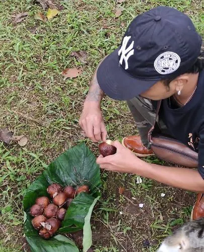 Tegal Jero * Jatiluwih