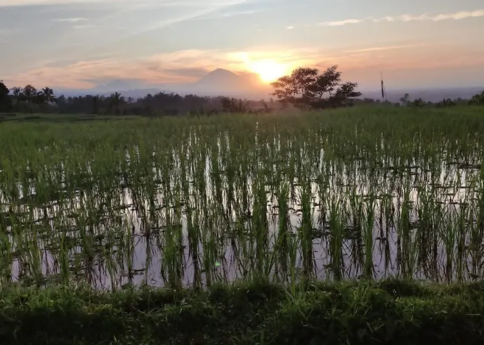 Privatunterkunft Tegal Jero