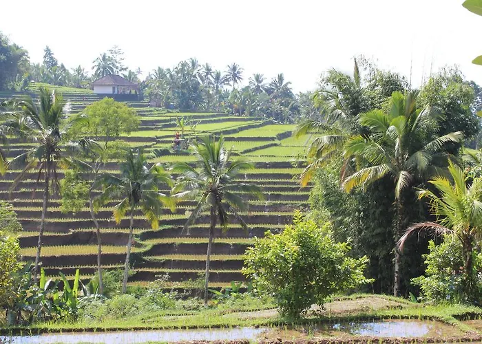 Tegal Jero Jatiluwih
